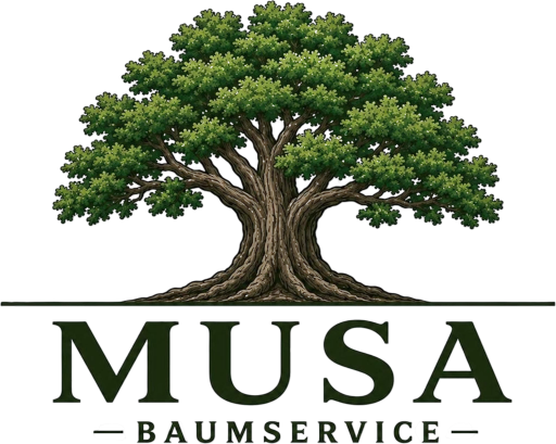 Musa Baumservice